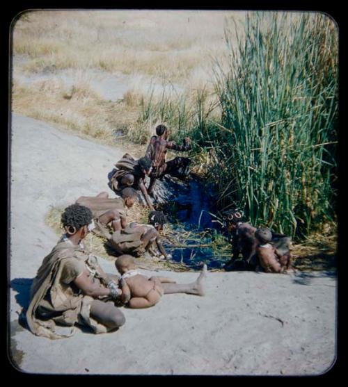 Waterhole: Group of people sitting near a waterhole, with green reeds in the background