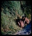 Waterhole: Children sitting at a waterhole, seen from behind