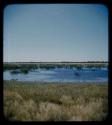 Waterhole: View of pan with water