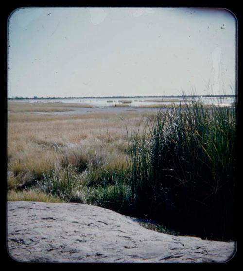 Waterhole: Distant view of pan from a waterhole