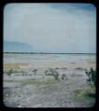 Waterhole: View of pan with water