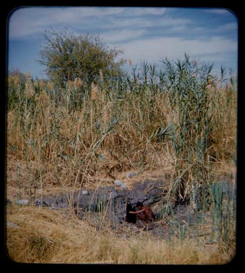 Waterhole: Man getting water from a waterhole