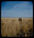 Wood: Two men walking in grass