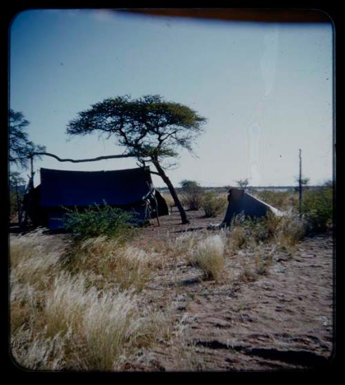 Expedition: Tents at the expedition camp