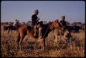Cowboys driving cattle to Tsau