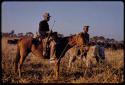 Cowboys driving cattle to Tsau