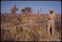 Robert Story standing by aloe plants