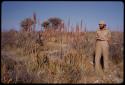 Robert Story standing by aloe plants