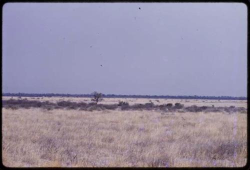 Landscape, grass and hills in the background