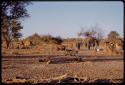 People outside in the area between huts