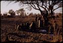 People sitting and standing in a kraal