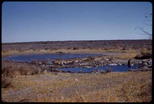 Elizabeth Marshall Thomas standing at water's edge, in the distance