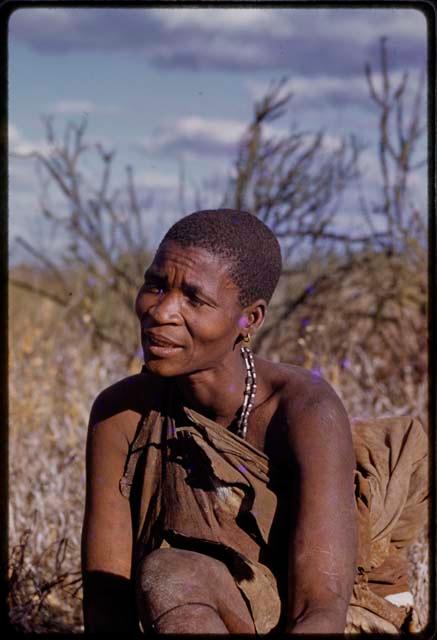 Mogatsiposi sitting, close-up