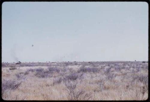 Landscape, grassy field showing smoke on horizon