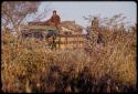 /Gishay on top of expedition truck driving through thick brush