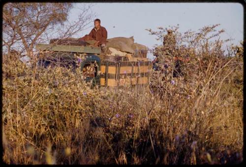 /Gishay on top of expedition truck driving through thick brush