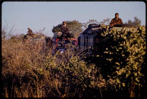 /Gishay on top of expedition truck driving through thick brush, two other expedition trucks driving behind