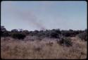 Grassy field and brush, smoke on the horizon