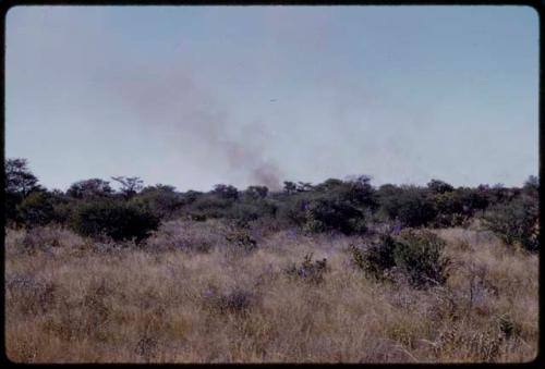 Grassy field and brush, smoke on the horizon