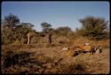 Expedition members preparing camp