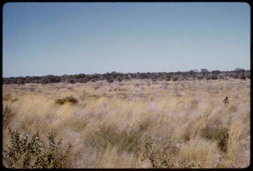 Man standing in a grassy field, in the distance