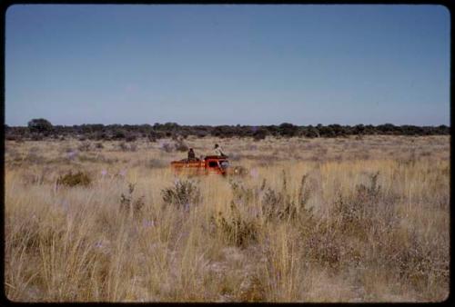 Expedition red Dodge driving through a grass field, in the distance