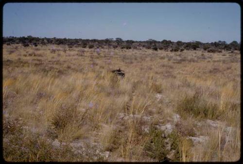 Expedition truck driving through a grass field, in the distance