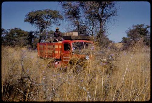 Expedition Red Dodge driving in golden grass