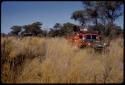 Expedition Red Dodge driving in golden grass