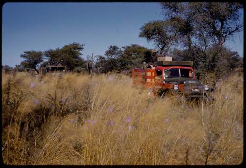 Expedition Red Dodge driving in golden grass