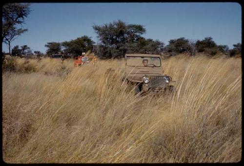 Expedition Jeep, Red Dodge, and GMC driving in deep golden grass