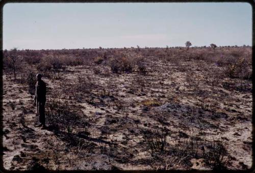 Simon Molamo standing in a burned area