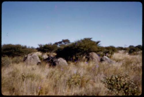 Abandoned skerms (image partially obscured)