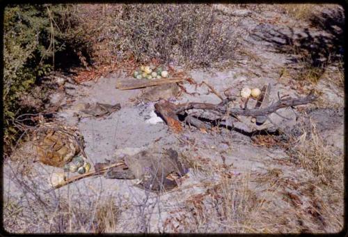 Piles of tsama melons, bows, arrows, and cloth on the ground