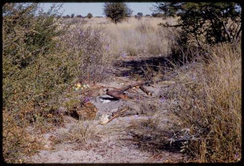 Piles of tsama melons, bows, arrows, and cloth on the ground, in the distance