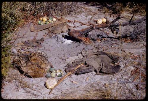 Piles of tsama melons, bows, arrows, and cloth on the ground