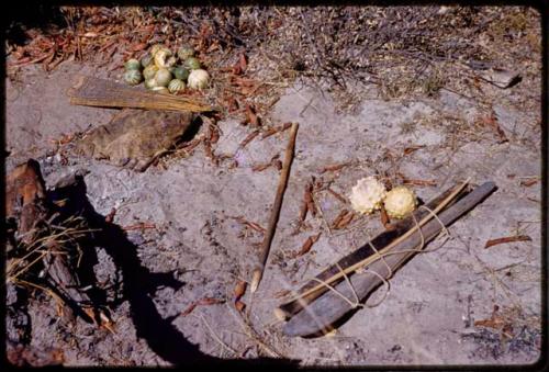 Piles of tsama melons, bows, arrows, and cloth on the ground