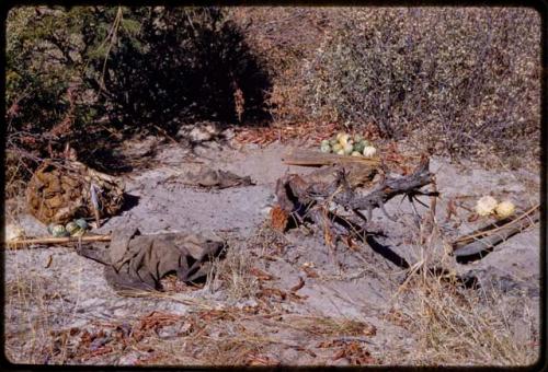 Piles of tsama melons, bows, arrows, and cloth on the ground