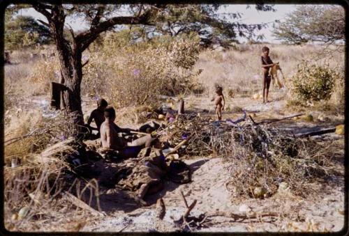 Tsekue, N!whakwe, and other people sitting under a tree