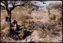 Tsekue, N!whakwe, and other people sitting under a tree