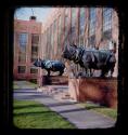 Rhino statues in front of Harvard University Biological Laboratories