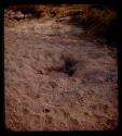 Waterhole dug to filter through sand