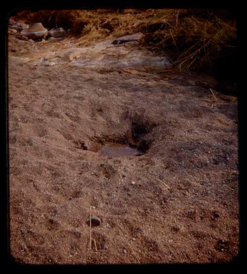 Waterhole dug to filter through sand