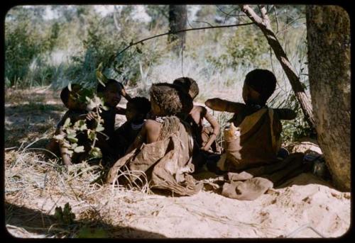 Group of children sitting under a tree