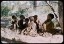 Group of children sitting under a tree