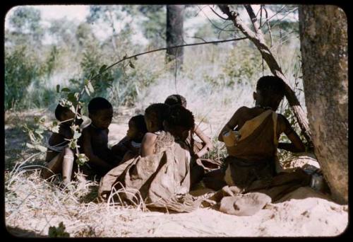 Group of children sitting under a tree