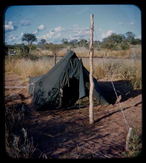 Expedition: Two squad tents, with blankets hanging on a line