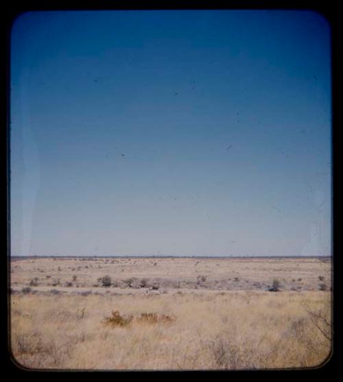 Expedition: Distant view of trucks