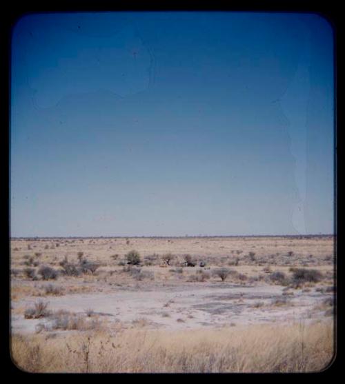 Expedition: Distant view of trucks