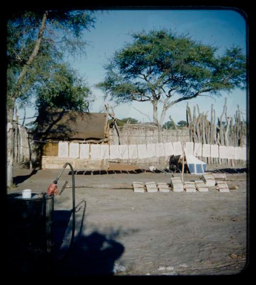 Expedition: Expedition camp showing stockade and cloths hanging on a line